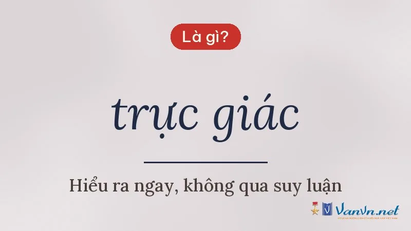 trực giác là gì
