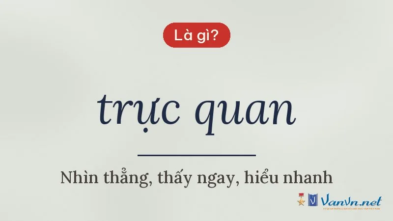 trực quan là gì