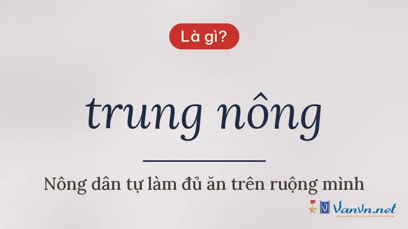 trung nông là gì