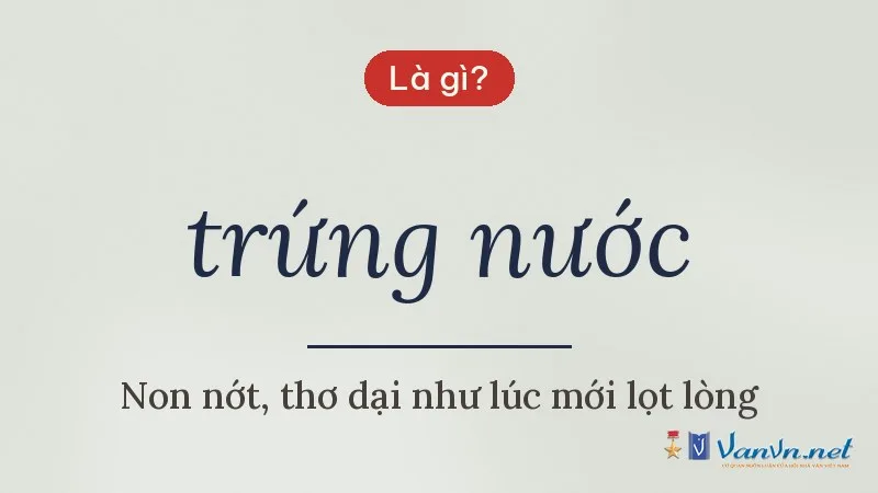 trứng nước là gì