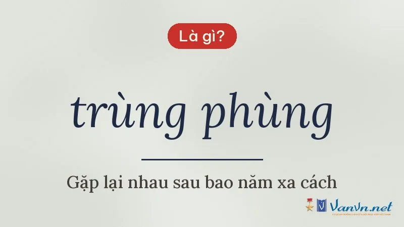 trùng phùng là gì