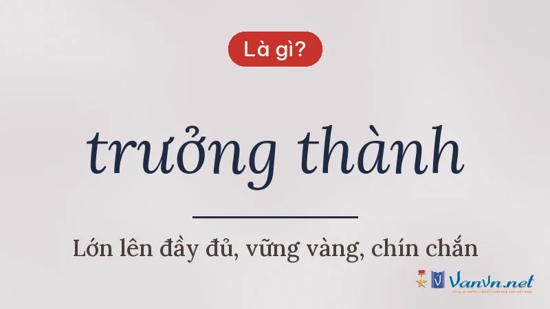 trưởng thành là gì