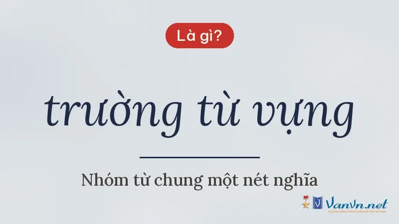 trường từ vựng là gì