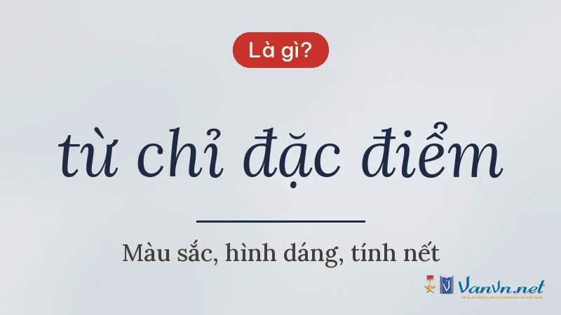 từ chỉ đặc điểm là gì