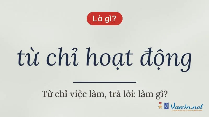 từ chỉ hoạt động là gì