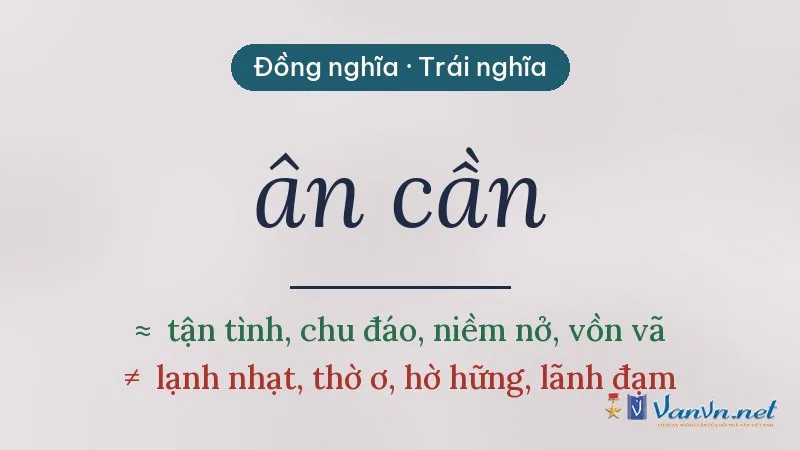 từ đồng nghĩa, trái nghĩa với ân cần