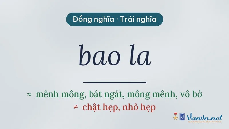 từ đồng nghĩa, trái nghĩa với bao la