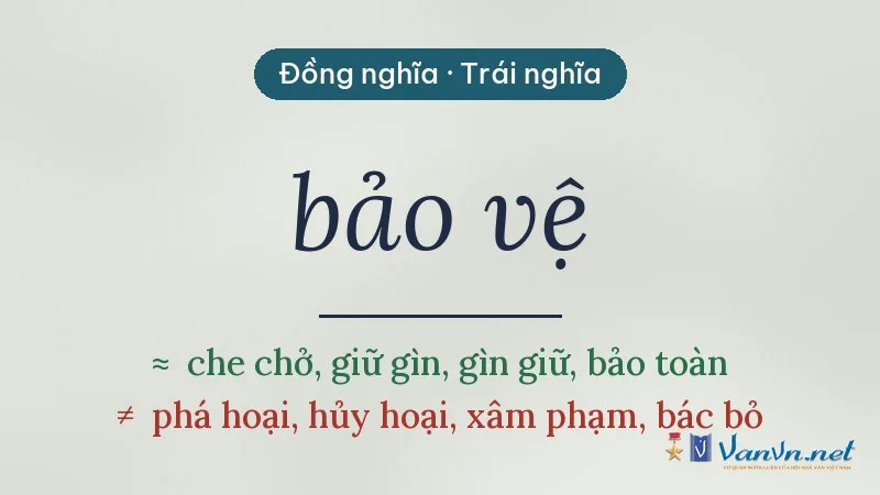từ đồng nghĩa, trái nghĩa với bảo vệ