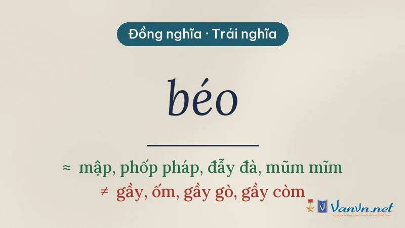 từ đồng nghĩa, trái nghĩa với béo