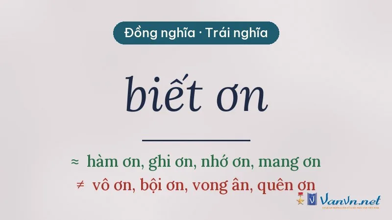 từ đồng nghĩa, trái nghĩa với biết ơn