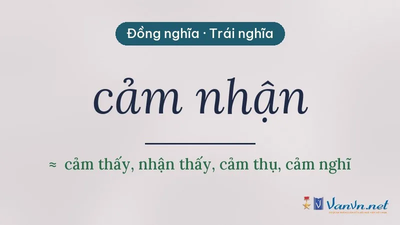 từ đồng nghĩa, trái nghĩa với cảm nhận