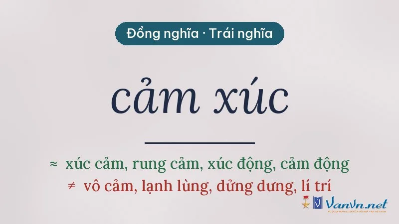 từ đồng nghĩa, trái nghĩa với cảm xúc