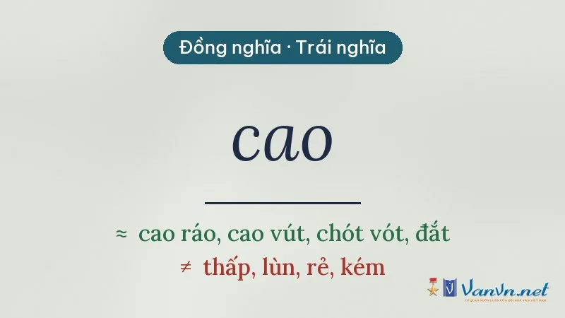 từ đồng nghĩa, trái nghĩa với cao