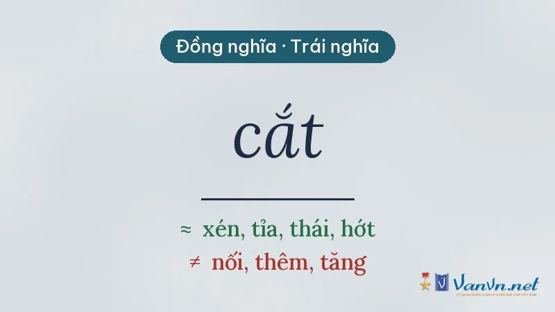 từ đồng nghĩa, trái nghĩa với cắt