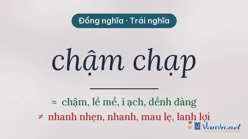 từ đồng nghĩa, trái nghĩa với chậm chạp