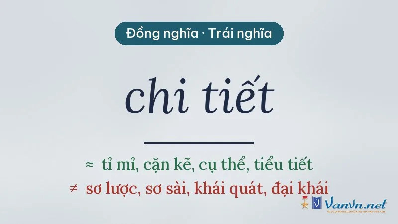 từ đồng nghĩa, trái nghĩa với chi tiết