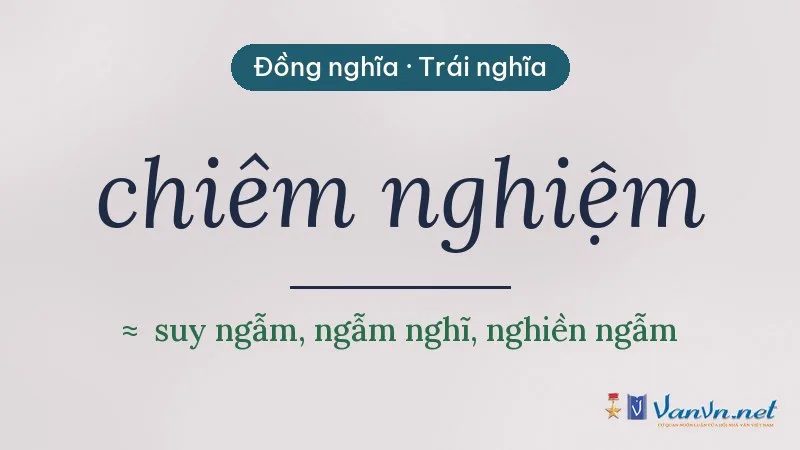 từ đồng nghĩa, trái nghĩa với chiêm nghiệm