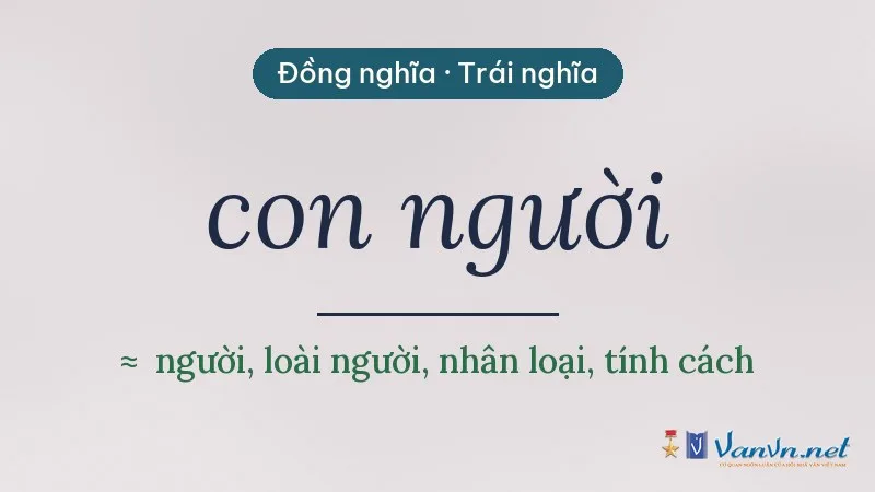 từ đồng nghĩa, trái nghĩa với con người
