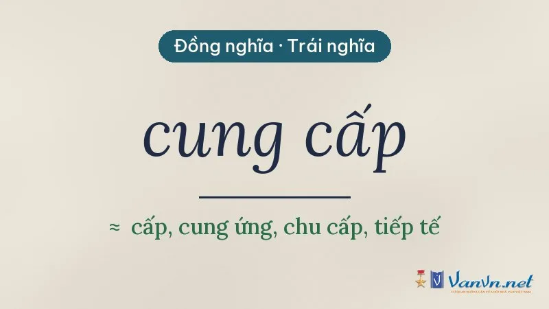 từ đồng nghĩa, trái nghĩa với cung cấp