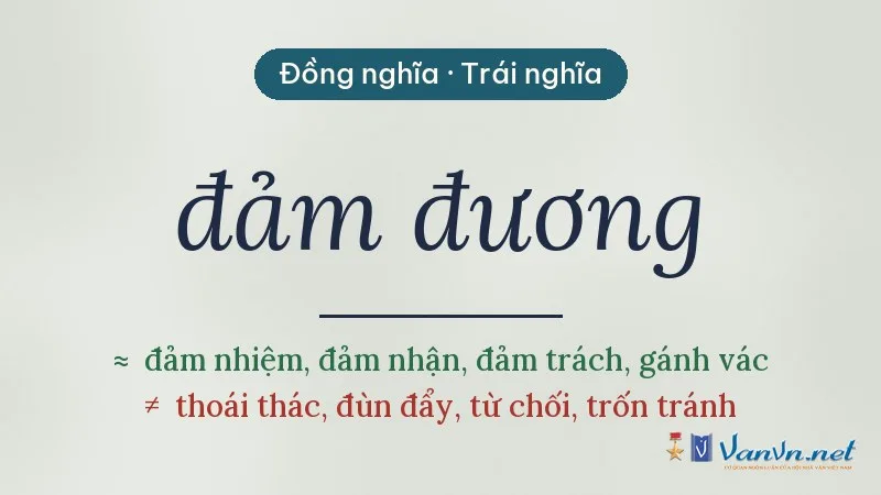 từ đồng nghĩa, trái nghĩa với đảm đương