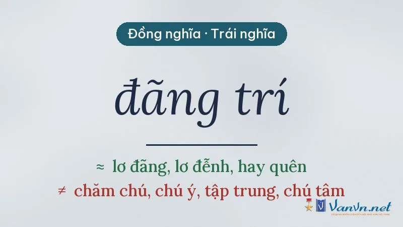 từ đồng nghĩa, trái nghĩa với đãng trí