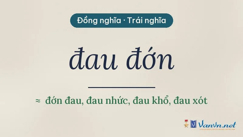từ đồng nghĩa, trái nghĩa với đau đớn