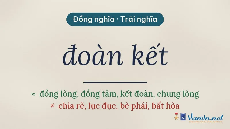 từ đồng nghĩa, trái nghĩa với đoàn kết
