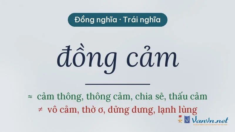 từ đồng nghĩa, trái nghĩa với đồng cảm