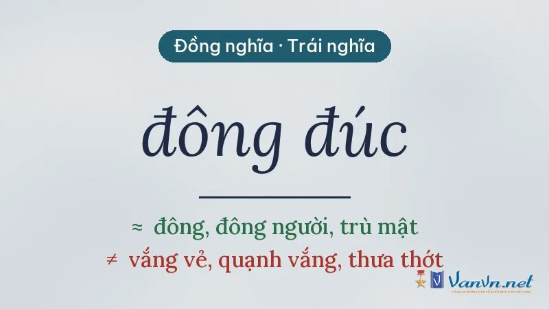 từ đồng nghĩa, trái nghĩa với đông đúc