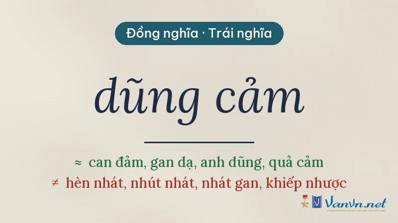 từ đồng nghĩa, trái nghĩa với dũng cảm
