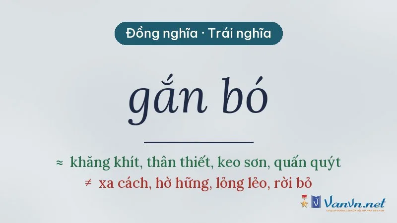 từ đồng nghĩa, trái nghĩa với gắn bó