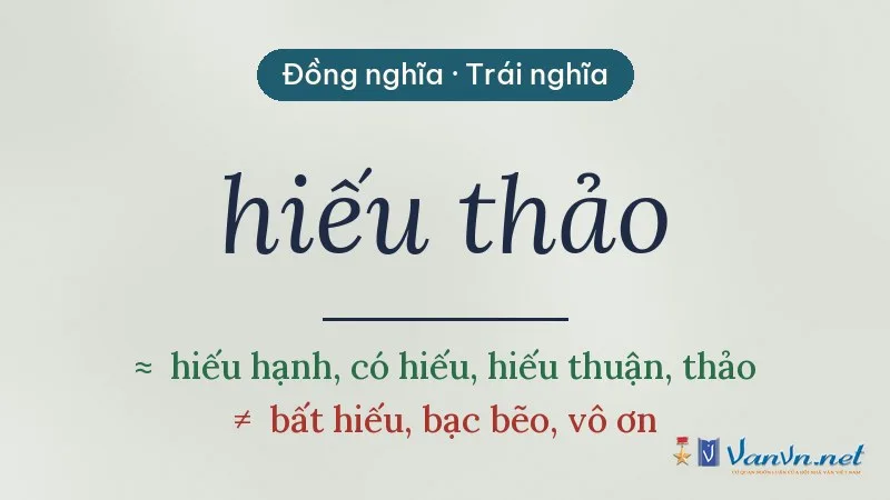 từ đồng nghĩa, trái nghĩa với hiếu thảo
