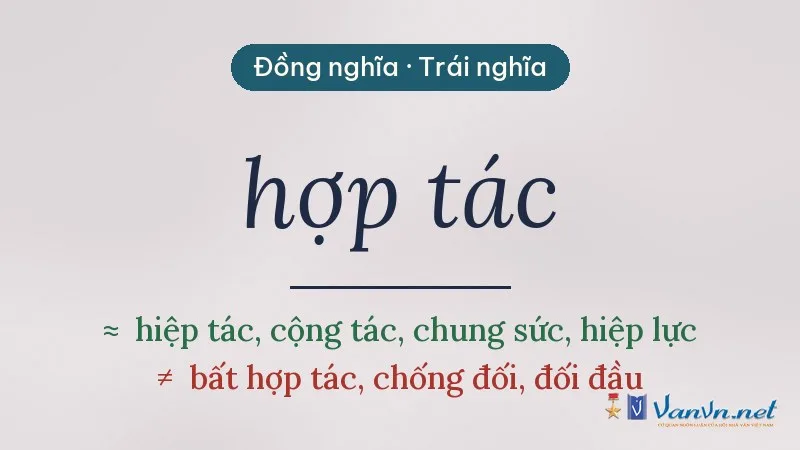 từ đồng nghĩa, trái nghĩa với hợp tác