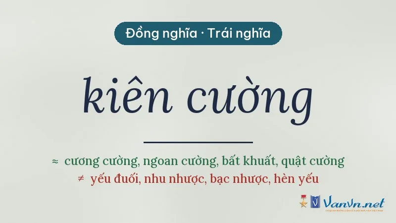 từ đồng nghĩa, trái nghĩa với kiên cường