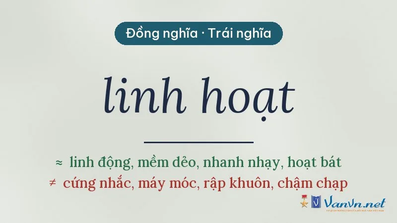 từ đồng nghĩa, trái nghĩa với linh hoạt