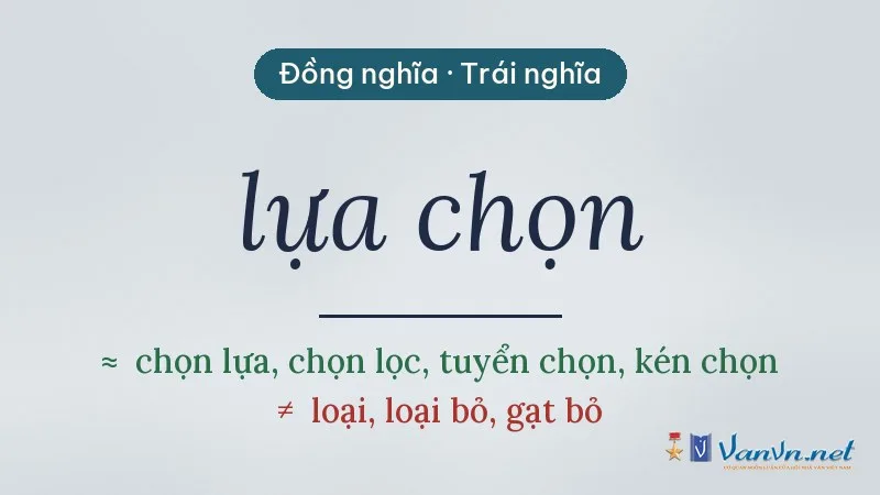 từ đồng nghĩa, trái nghĩa với lựa chọn