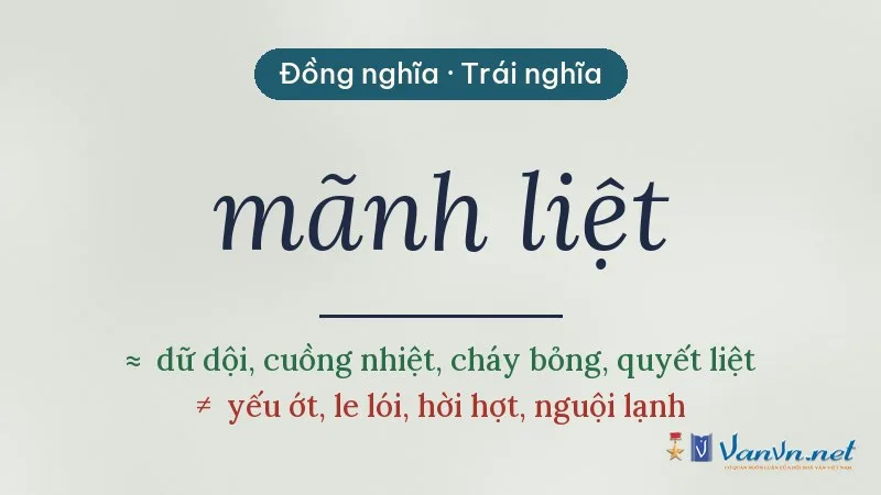 từ đồng nghĩa, trái nghĩa với mãnh liệt