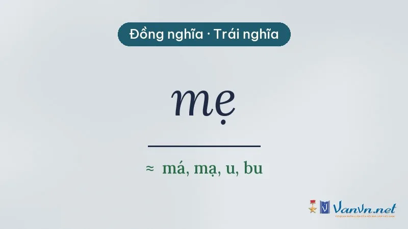 từ đồng nghĩa, trái nghĩa với mẹ