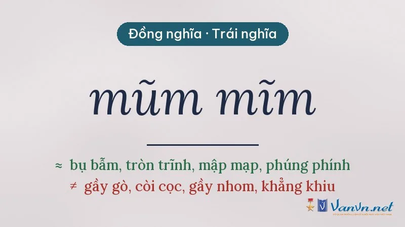 từ đồng nghĩa, trái nghĩa với mũm mĩm
