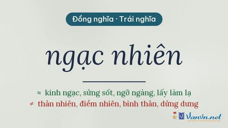 từ đồng nghĩa, trái nghĩa với ngạc nhiên