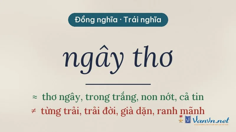 từ đồng nghĩa, trái nghĩa với ngây thơ