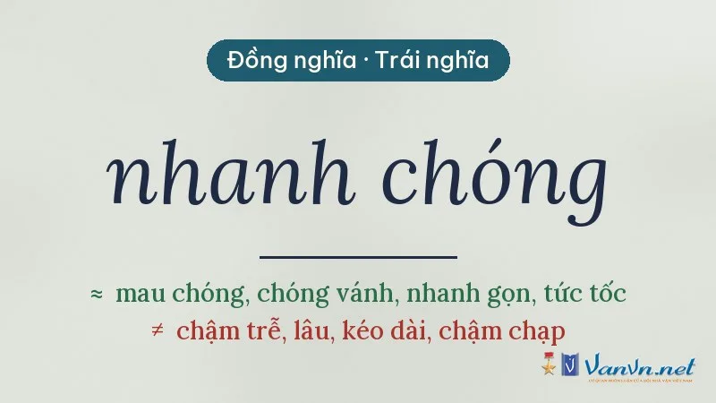 từ đồng nghĩa, trái nghĩa với nhanh chóng