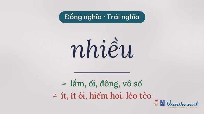 từ đồng nghĩa, trái nghĩa với nhiều