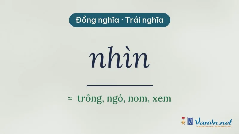 từ đồng nghĩa, trái nghĩa với nhìn