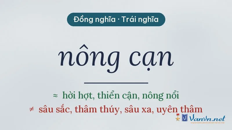 từ đồng nghĩa, trái nghĩa với nông cạn