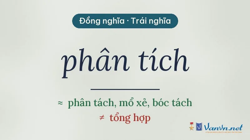 từ đồng nghĩa, trái nghĩa với phân tích