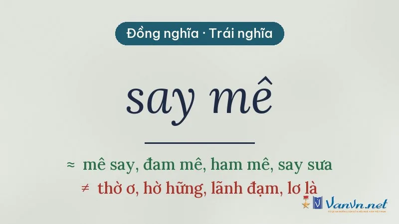 từ đồng nghĩa, trái nghĩa với say mê