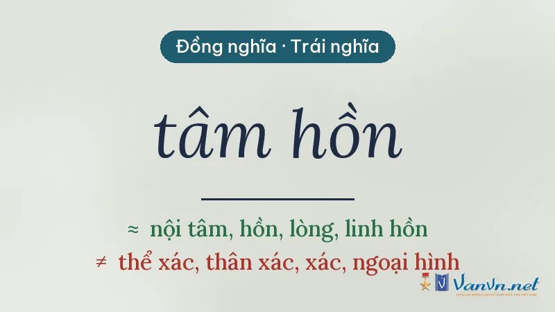 từ đồng nghĩa, trái nghĩa với tâm hồn