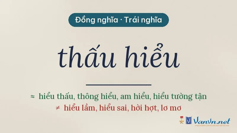 từ đồng nghĩa, trái nghĩa với thấu hiểu