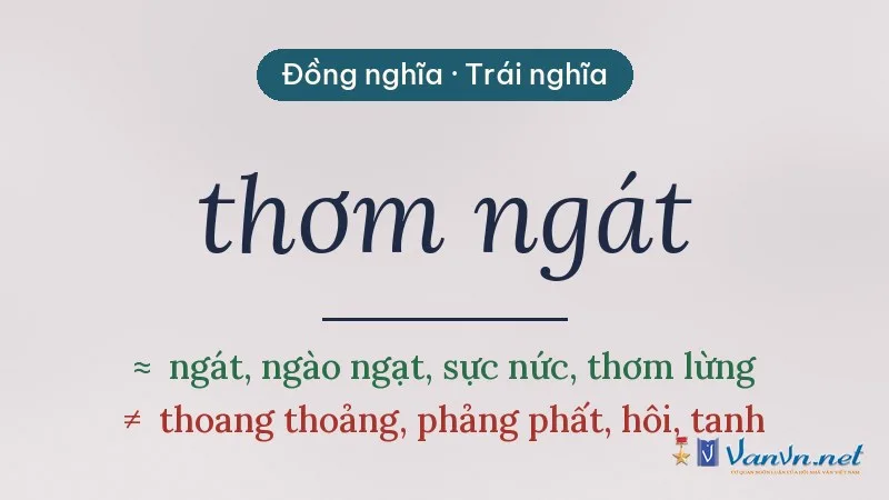 từ đồng nghĩa, trái nghĩa với thơm ngát